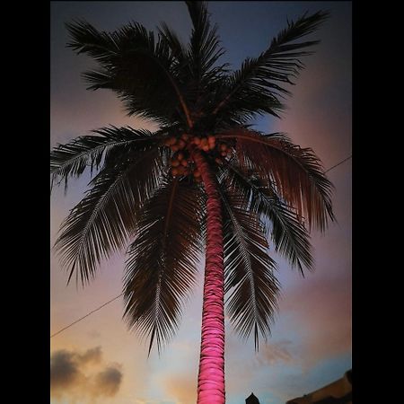 La Palmera Hostel Puerto Escondido  Eksteriør bilde